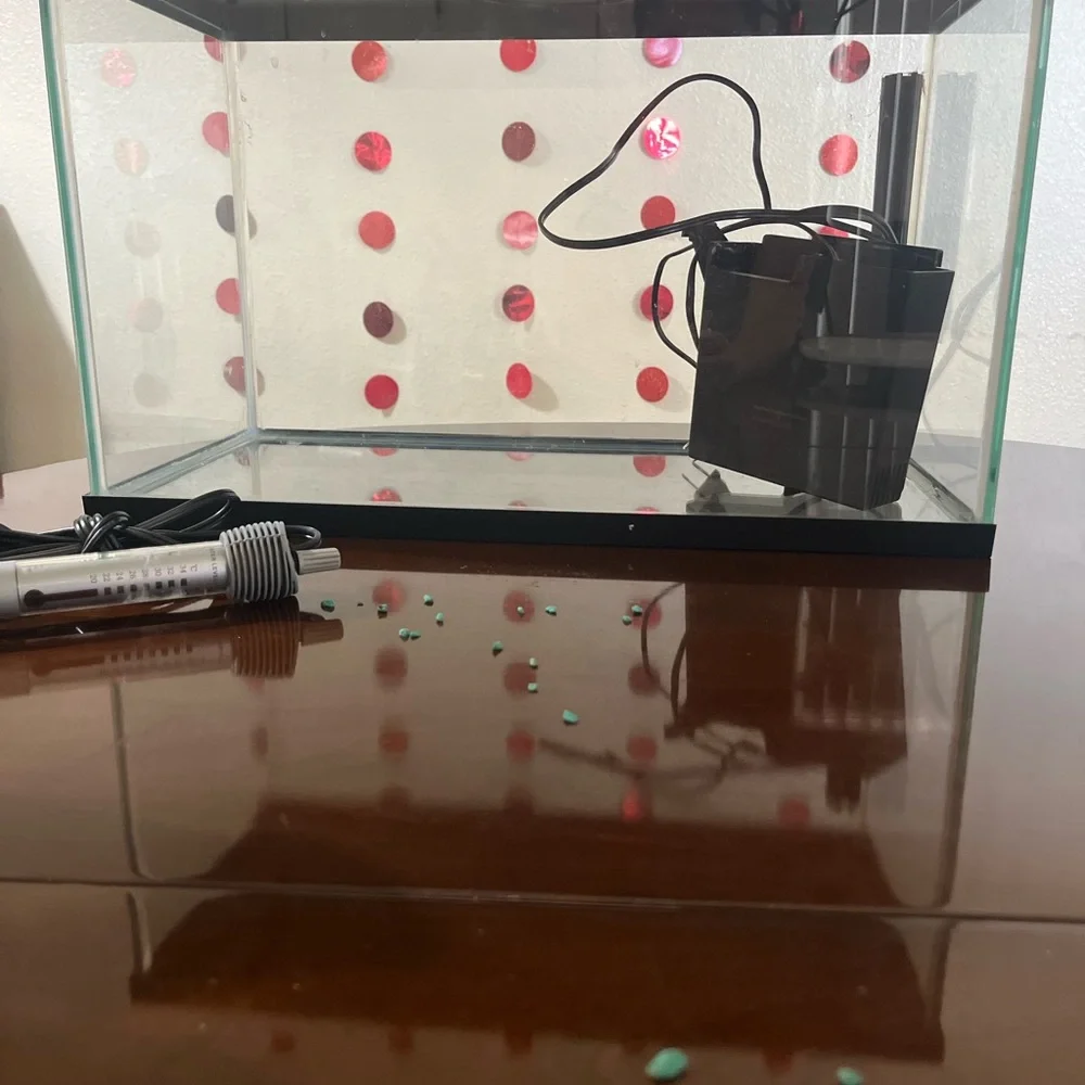 Glass Fish Tank with Accessories